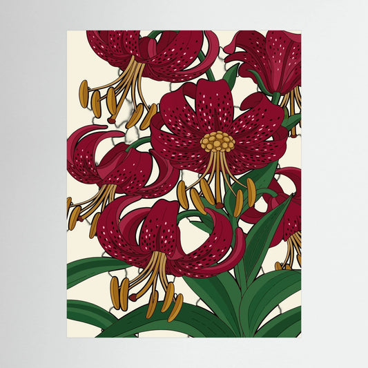 Colourful Flower — Bold Botanical Illustration Print - Copy - Copy - Copy
